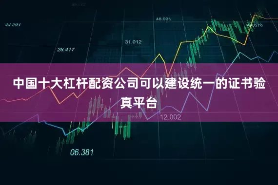 中国十大杠杆配资公司可以建设统一的证书验真平台