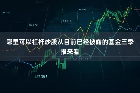 哪里可以杠杆炒股从目前已经披露的基金三季报来看